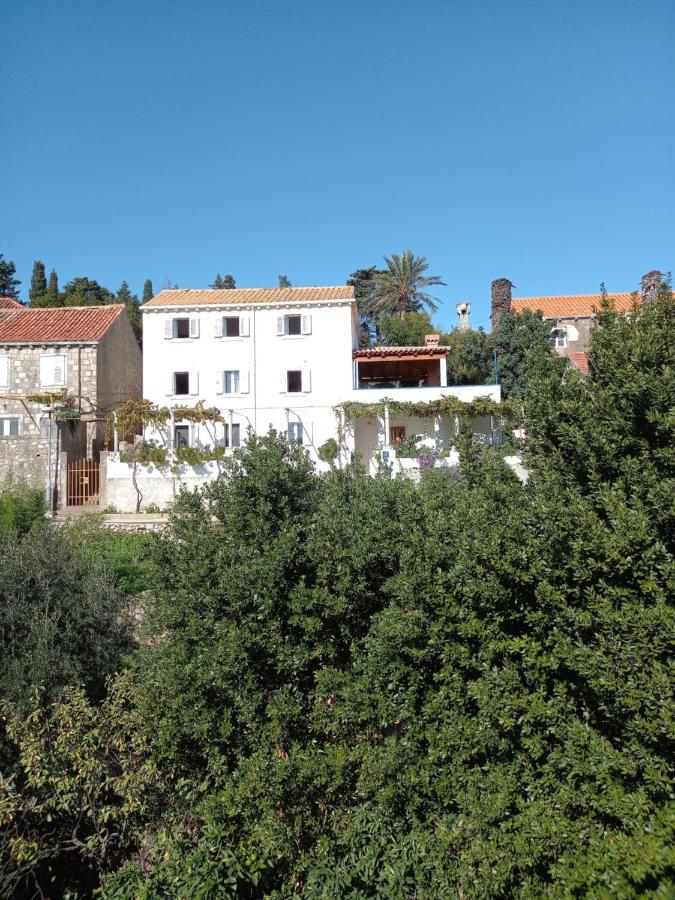 Villa Sea Dream Kolocep Gornje Celo Exteriér fotografie