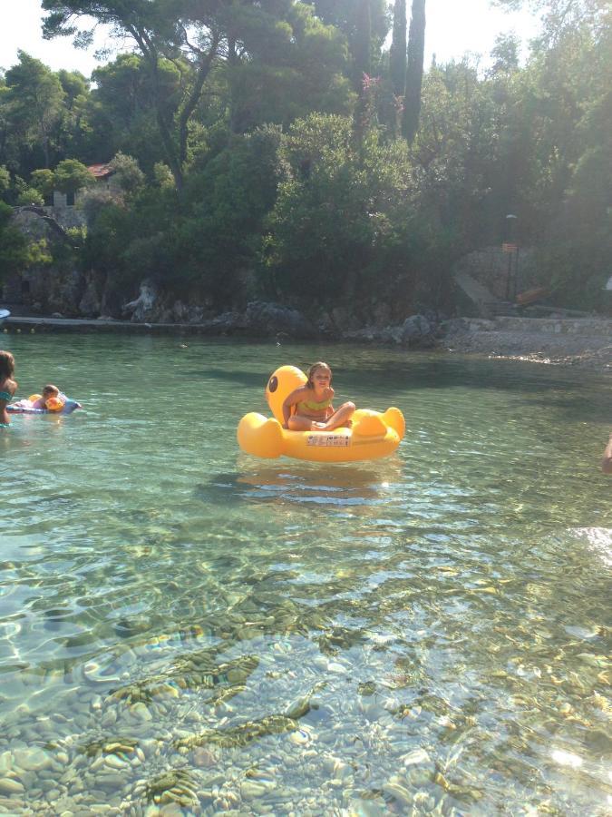 Villa Sea Dream Kolocep Gornje Celo Exteriér fotografie
