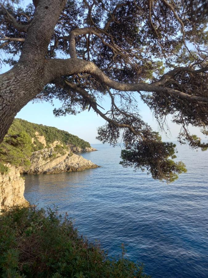 Villa Sea Dream Kolocep Gornje Celo Exteriér fotografie