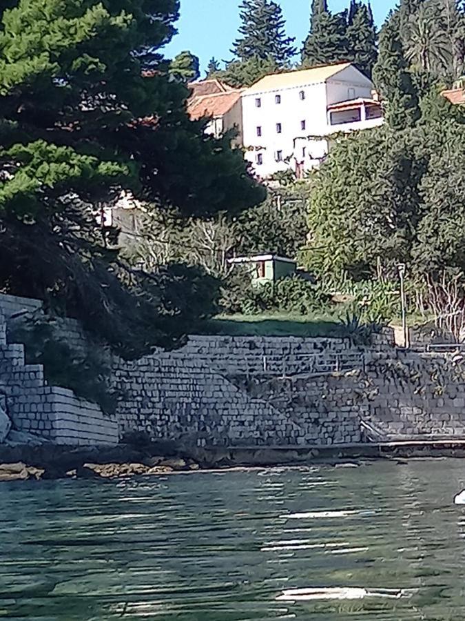 Villa Sea Dream Kolocep Gornje Celo Exteriér fotografie